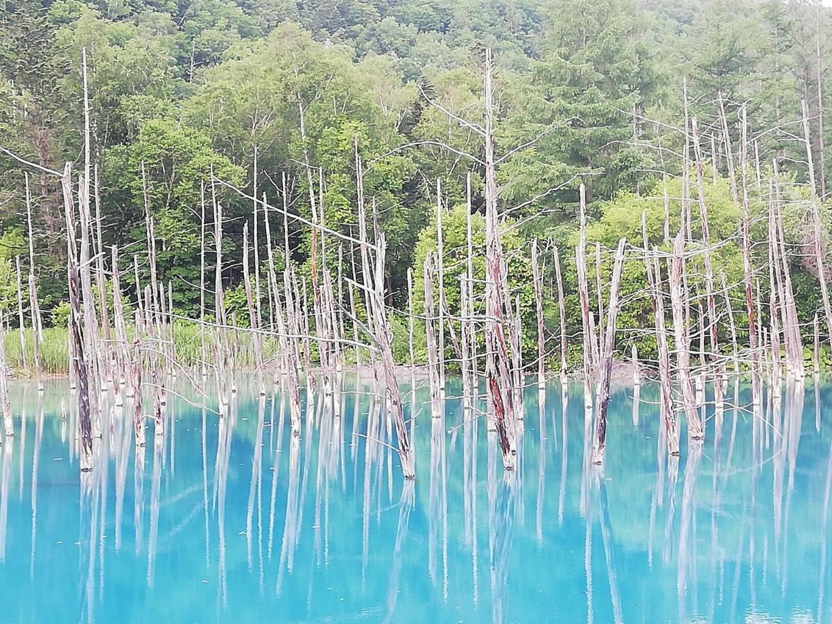 Hotel Hanafuji Inn NakaNakafurano Eksteriør billede